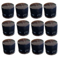 12x Oil Filters fits Tecumseh Short AM12542 492932 492056 696854