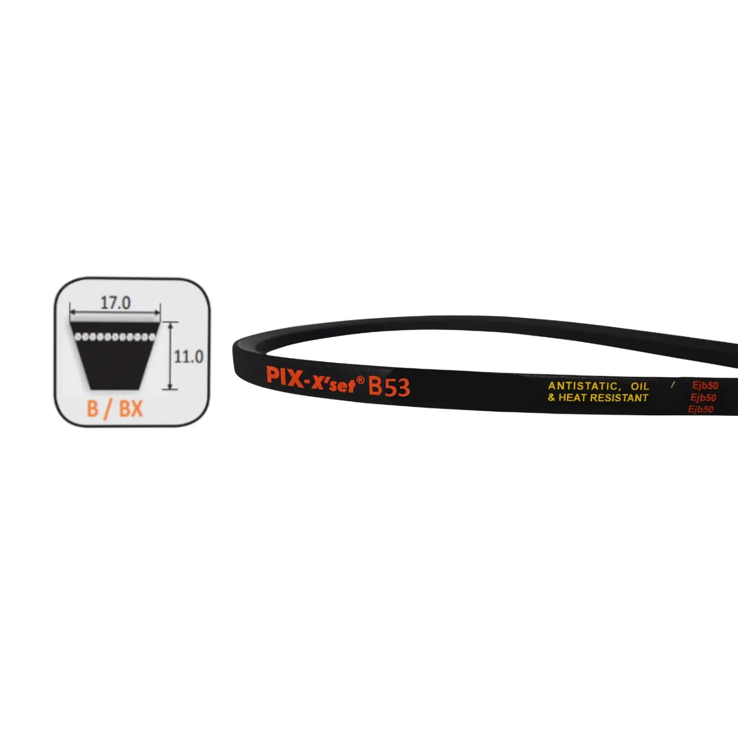 Belt to Replace Cox V10 or SV10 or Masport 754195