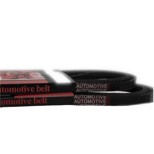Belt Kit for Holden Commodore VT VU VX VY VZ 5.7 6.0 V8 Gen3 LS1 | 6PK1995 and 4PK1100